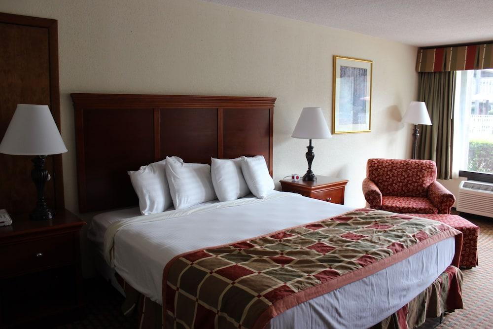 Hotel Great Smokies -